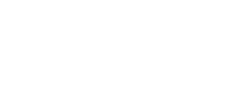 Venchi 1878